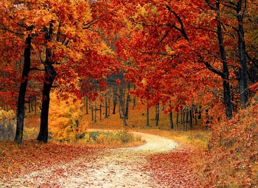 road-1072821_640.jpg